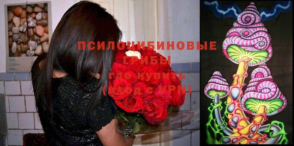 мескалин Абаза