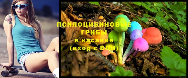 индика Абдулино