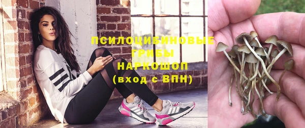 индика Абдулино